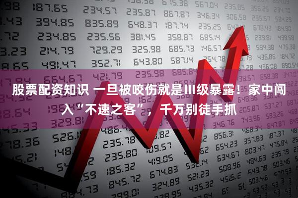 股票配资知识 一旦被咬伤就是Ⅲ级暴露！家中闯入“不速之客”，千万别徒手抓